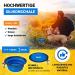Premium Foldable Silicone Dog Bowl 380ml - FDA Approved | Huskl Portable Pet Bowl for Dogs & Cats - Ideal for Travel Feeding & Water - Buy Online on GoSupps.com