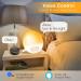 Ghustar Lichtwecker Wake Up Light - Daylight Alarm Clock with Sunrise & Sunset 7 Colors 2 Alarms 7 Natural Sounds FM Radio 20 Brightness Levels Ideal LED Night Light for Adults - Buy Online on GoSupps.com