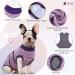Kuoser Breathable Dog Recovery Suit | Post-Op Body for Male & Female Dogs | Anti-Wound Cat Body | XXL Purple E-Collar Alternative - Buy Online on GoSupps.com