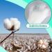 Mixweer Cotton Roll 520 Feet - 2lb Salon Cotton Sliver for Cleaning & Skin Care | Easy to Use - Buy Online on GoSupps.com