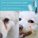 Flea Comb 2Pcs Flea Comb for Cat Dog Fine Teeth Lice Combs Metal Head Comb Tear Stain Remover Combs Pet Grooming Comb for Dogs Cats Small Pets - Buy Online on GoSupps.com