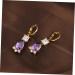 COHEALI 2 Pairs Earings for Women Women s Earrings Post Earrings for Women Womens Earrings Zircon Ear Rings Small Fresh Earrings Women Ear Rings Miss Purple Small and Fresh Jewelry Purplex3pcs mediumx3pcs - Buy Online on GoSupps.com