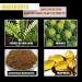 Oil Enlarge for Men - 10ml Massage Oil for Fast Results & Enlargement | Premium Male Enhancement Product - Buy Online on GoSupps.com