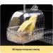 Spacious Bird Bath Cage Cleaner with Hanging Hooks and Drawer - Ideal for Cockatiels, Parrots, Parakeets - Portable Shower for Most Bird Cages - Buy Online on GoSupps.com