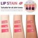Pakivs 3Pcs Peel Off Lip Stain Set Waterproof and Transmission Resistant Pink Lip Tint Long Lasting Matte Finish Peel Off Lip Gloss NonStick Cup Liquid Lipstick Nude Lip Gloss - Buy Online on GoSupps.com