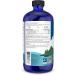 Nordic Naturals Arctic CLO - Cod Liver Oil Promotes Heart and Brain Health (Orange 473 mL) Orange 473 ml (Pack of 1) - Buy Online on GoSupps.com