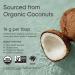 Sports Research Keto MCT Oil from Organic Coconuts - Fatty Acid Fuel for Body + Brain - Dual Ingredient C8 and C10 MCTs - Perfect in Coffee  Tea  & More - Non-GMO & Vegan - Unflavored (40 Oz) 40 Fl Oz (Pack of 1) C8 + C10 - Buy Online on GoSupps.com