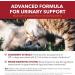 Urinary Care Cranberry Supplement for Dogs & Cats by PETPAL | Super Concentrated Powder | Urinary Tract Health Bladder Care UTI Stones Incontinence Support | Result in 30 Days | 2 oz / 60g - Buy Online on GoSupps.com