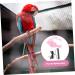 Angoily 4 Sets Bird Leash Suspend Trains Parrot Adjustable Harness Chicken Harness Car Supplies Clothing 12X6X1.3CMx4pcs Pinkx4pcs - Buy Online on GoSupps.com