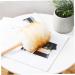Dusters Duster Wood Handle Fluff Hand Duster Electrostatic Soft Dusting Tool with Hanging Ring Multipurpose Dusters for Cleaning Home Car Sofa - Buy Online on GoSupps.com