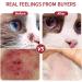 Ninnyi Tear Stain Remover for Dogs Eyes Gently Effective Pet Eye Care Cleaner Balm(30g) - Buy Online on GoSupps.com