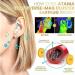 JIAWEIIY Dorina Ear Acupressure Magnetherapy Earrings 2/3Pairs Dorina Earrings Weight Loss Magnetic Earrings Ear Acupressure Earring (D) - Buy Online on GoSupps.com