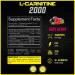 Forzagen L-Carnitine 2000 Liquid with Vitamin B6 - Acetyl L-Carnitine & L-Tartrate - 30 Servings (Very Berry) - Buy Online on GoSupps.com