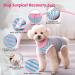 Lyneun Soft Dog Recovery Suit Breathable Post-Op & Anti-Lick Vest for Male Dogs Wound Protection & Allergy Relief (S Pink) - Buy Online on GoSupps.com