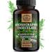 Andrographis Paniculata -500mg per capsule. Important: 10: 1 extract ( 5 000mg Kalmgh per capsule) i high doses i 120 capsules i chemical -free product i vegan & laboratory test i from de i scheunengut