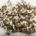 BAENRCY 50pcs 3-5V DC 2 Phase 4 Wire Dia 6mm Stepper Motor for Digital Products - 6x15.5mm - Buy Online on GoSupps.com