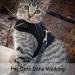 PUPTECK Soft Mesh Cat Vest Harness & Leash Set - Escape Proof for Cats, Small Dogs, Rabbits - X-Large, Black - Buy Online on GoSupps.com