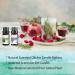HERBROMAS Essential Oil Set - Top 16 Aromatherapy Oils for Candle & Soap Making, Diffusers, Humidifiers - Buy Online on GoSupps.com