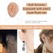 Soft Silicone Right Ear Model with Acrylic Stand - Ideal for Suture Practice and Jewelry Display - Buy Online on GoSupps.com