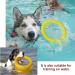 NA 2pcs Dog Toys Ring Outdoor Fitness Flying Discs Water Floating Dog Interactive Training Ring for Small Dog and Medium Dog - Buy Online on GoSupps.com