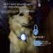 iPobie LED Silicone Dog Light Pendant for Night Walks - Set of 5 - Buy Online on GoSupps.com