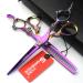 6.0 inch Dragon Pattern Handle Hair Cutting Set Professional Barber Thinning/Texturizing Shears Stainless Steel Edge Series for Hairdresser or Home Use