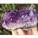 Natural Crystal Rough 150g Natural Amethyst Beautiful Purple Quartz Geode Crystal Cluster Specimen - Buy Online on GoSupps.com