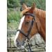 Turners Stunning Black Leather Snaffle Cavesson Horse Riding Bridle with Reins (Pony) - Buy Online on GoSupps.com