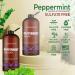 Natural Riches Peppermint Shampoo & Conditioner Set | Sulfate-Free Hair Loss Treatment | Hydrating & Refreshing | 16 fl oz | Promotes Hair Growth for Men & Women - Buy Online on GoSupps.com