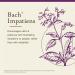 Bach Original Flower Remedies Impatiens - Have Patience - Natural Homeopathic Flower Essence for Emotional Balance - Vegan Gluten Free Sugar Free - 20mL Dropper - Buy Online on GoSupps.com