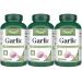 VORST Garlic 1200mg Per Serving 3 X 180 Vegan Capsules | Helps Maintain Cardiovascular & Heart Health | Garlic Pills for Blood Pressure | Powder Pills | 3 Bottles 540 count (Pack of 1)