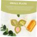 FRCOLOR Plat C ramique pour Huiles Essentielles Assiette Huiles Essentielles pour Salon de Beaut Fournitures pour Salon de Beaut  - Buy Online on GoSupps.com