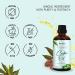 Herbion Naturals Organic Castor Oil 3.3 oz - USDA Certified 100% Pure Cold Pressed Hexane-Free - Hair & Skin Moisturizer Boosts Hair Growth Glass Bottle with Dropper - Buy Online on GoSupps.com