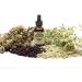 Peace & Love Potion 100% All Natural Hawthorn Tincture (1 oz) - 2 Pack 1 Count (Pack of 2) - Buy Online on GoSupps.com