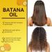  Jingmiger Lightweight Hair Oil - 120ml Anti-Frizz Root Stimulator | Volumizing Hair Oil - for Daily Use Nighttime Shower After Cutting Styling Preparation Home Travel - Buy Online on GoSupps.com