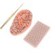 Hemoton 4 Sets Auricular Tools - Ear Acupressure Kit with Magnet Ear Beads Patch - Silicone & Aluminum Alloy - Assorted Colors - 4pcs - Buy Online on GoSupps.com
