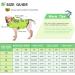 Buy Cit toile Shark Dog Life Jacket - Stylish & Safe Vest for Small Medium & Large Dogs | Mermaid Tail Design in Green - Buy Online on GoSupps.com