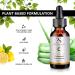 Premium Vitamin C Serum for Face | Anti-Aging Skin Care with Hyaluronic Acid & Vitamin E - 30ml | EBBDASKIN - Buy Online on GoSupps.com