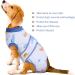 Kuoser Dog Recovery Suit for Male Dogs - Breathable Post-Surgery Body with Leakage Protection - XXL Blue Boat (1 Pack) - Buy Online on GoSupps.com