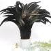 THARAHT 50PCS Rooster Coque Tail Feathers Bulk - Natural 12-14 Inch - Crafting Wedding Fly Tying Feather Party DIY Decoration - Black - Buy Online on GoSupps.com