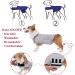 YUKOOL Anxiety Coat for Dogs - Lightweight Calming Jacket Vest (XS Gray) | Reduce Anxiety & Stress - Buy Online on GoSupps.com