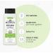 JR Watkins Natural Aloe & Green Tea Body Wash 6 Pack - Hydrating Shower Gel | SLS-Free, USA Made, 18 fl oz (Pack of 6) - Buy Online on GoSupps.com