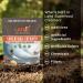Lairds Laird Superfood Original Superfood Creamer with Mushrooms 227g PACK OF 2 - Buy Online on GoSupps.com