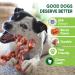 Indestructible Dog Chew Toys for Aggressive Chewers Large Breed Dog Toys for Boredom and Stimulating Nylon Dog Bones for Aggressive Chewers - Buy Online on GoSupps.com