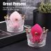 Makeup Sponge Holder - Crown Design Blender Egg Puff Drying Stand for Home - Shop Internationally - Buy Online on GoSupps.com