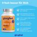Vitamin C 1 000 mg Immune Support High Dose Vegan Tablets (200 Count) Lab-Tested Additive-Free Made in Germany 7 Months Supply - Buy Online on GoSupps.com