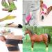 Xinnian Self-Adhesive Bandage - 12 Rolls Elastic Cohesive Fixing Bandage for Animals & Humans - Ideal for Finger Wrist Ankle Compression & Swelling - 5cm x 4.5m - Buy Online on GoSupps.com
