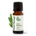 Plant Therapy Organic Tea Tree Oil (Melaleuca) 100% Pure USDA Certified Organic Undiluted Natural Aromatherapy for Skin Hair and Toenails Therapeutic Grade 10 mL (1/3 oz)