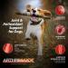 ArthriMAXX 32oz Joint Supplement for Dogs - Natural Anti-Inflammatory with Glucosamine & Chondroitin - Buy Online on GoSupps.com