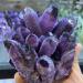 Natural Purple Quartz Crystal Cluster Specimen Beautiful Crystal Crystal Cluster (Size : 950-1000g) - Buy Online on GoSupps.com